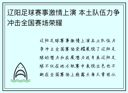 辽阳足球赛事激情上演 本土队伍力争冲击全国赛场荣耀